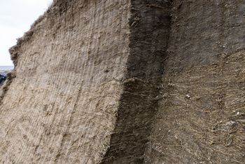 glatte schnitt silagewand