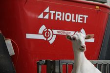 Triomatic T30, Automatische fütterung