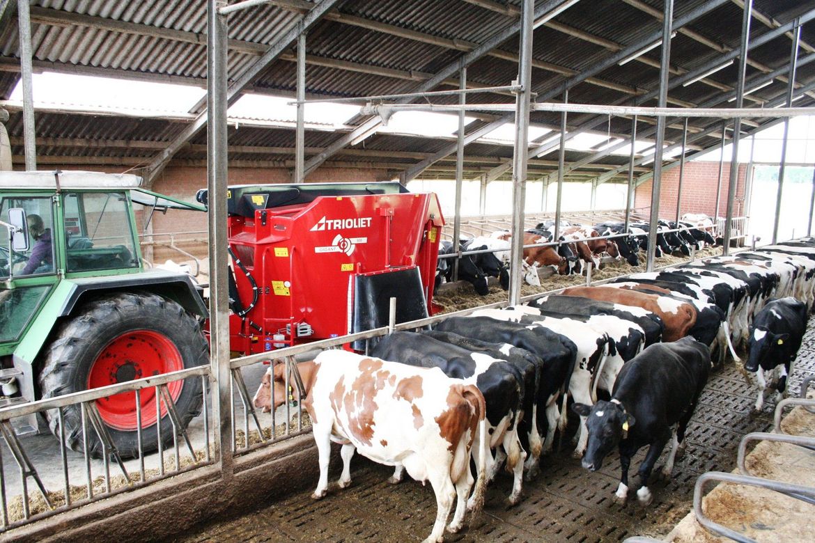 Selbstladender Futtermischer Futtermischwagen Triomix Futterwagen Selbstlader Selbstbefüller Ausdosiersystem Trioliet