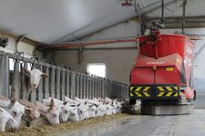 Triomatic T30, automatische Fütterung 