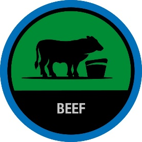 Fütterungskosten, Futtermanagement, Kontrolle Fütterungskosten, Futterkosten, Effizienz, effizient füttern, futtermanagement system