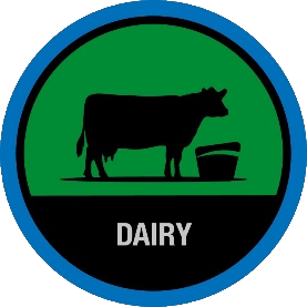 Fütterungskosten, Futtermanagement, Kontrolle Fütterungskosten, Futterkosten, Effizienz, effizient füttern, futtermanagement system Futtermischwagen Futtermischer